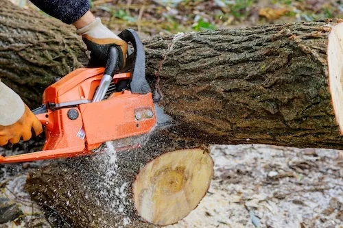 Tree work in Joondalup, Perth