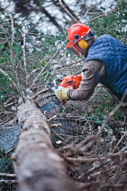 Storm & Emergency Tree Work, Perth